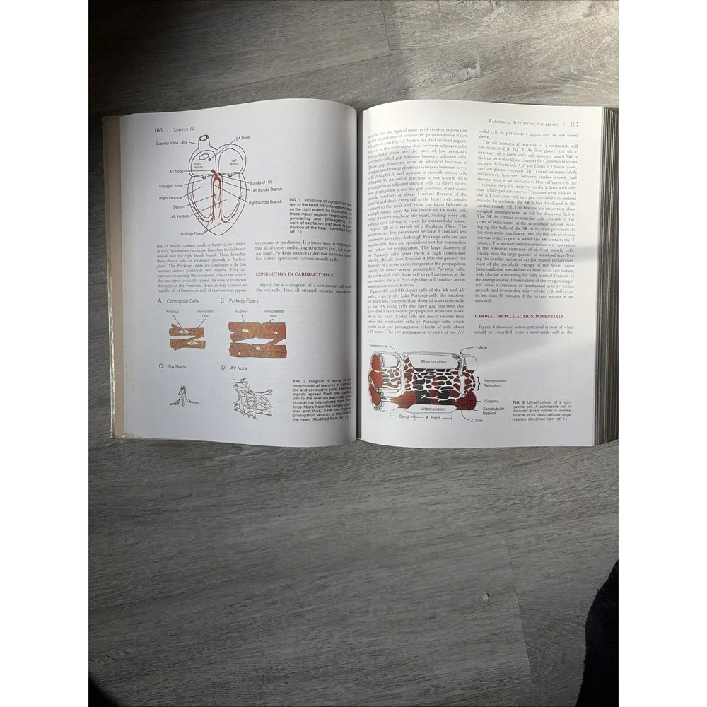 N/A physiology medical